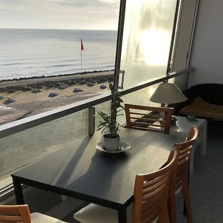 La Mouette * 库尔瑟勒·苏尔·梅尔